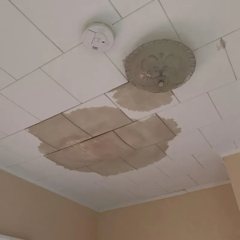 Ceiling Water Damage Repair in Waupun, WI