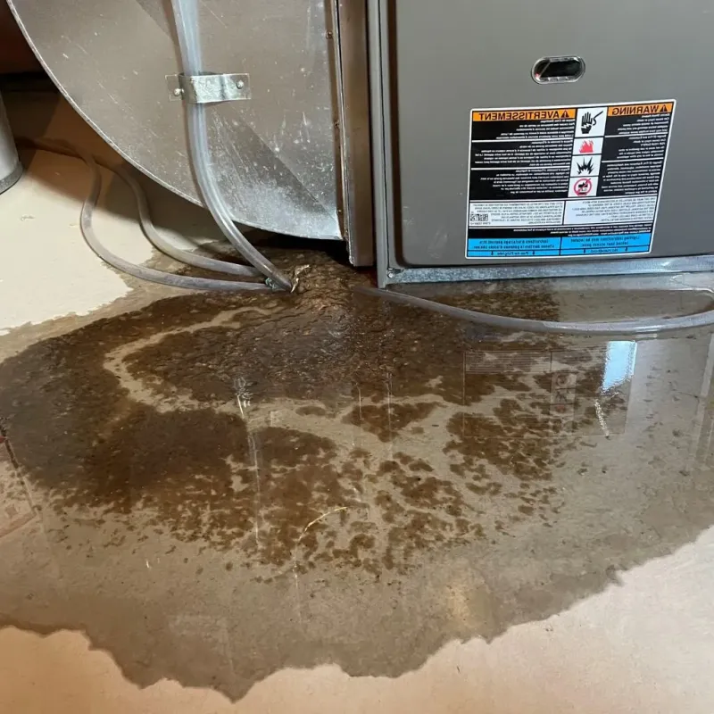 Pipe Burst and Leak Restoration in Waupun, WI